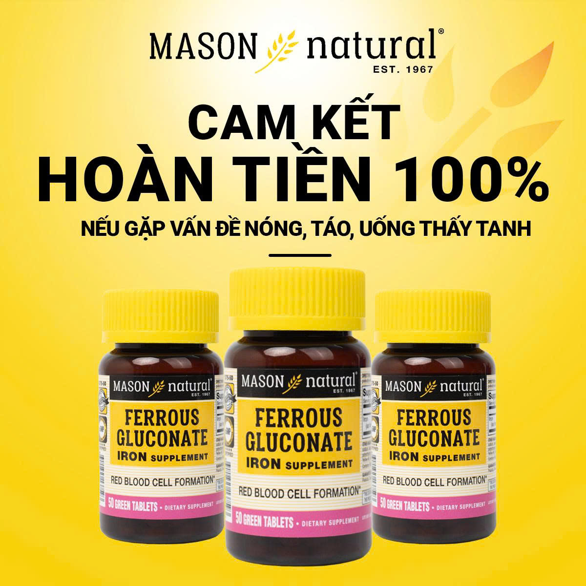 Mason Natural Ferrous Gluconate - Sắt hữu cơ mát cho bà bầu