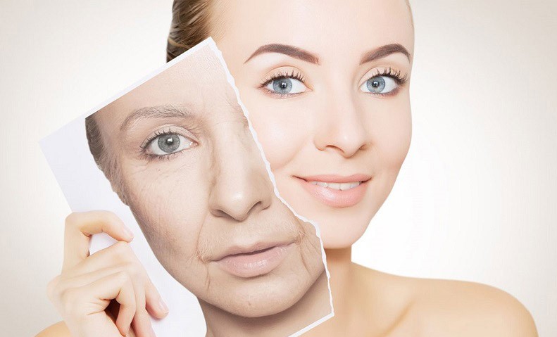 Collagen dạng bột