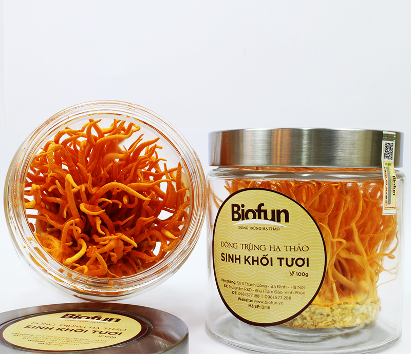Đông trùng hạ thảo Biofun