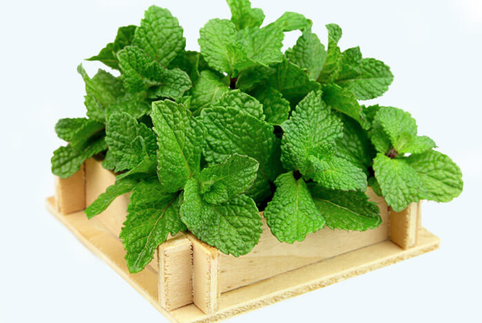 Nguyên nhân ít sữa mẹ